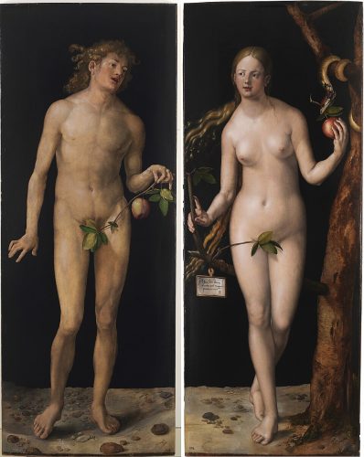 960px-Albrecht_Dürer_-_Adam_and_Eve_(Prado)_2
